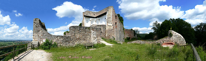 Burgpanorama Donaustauf