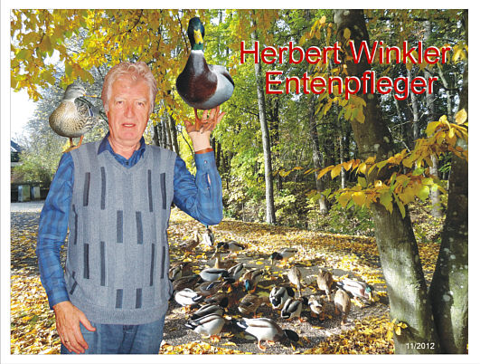 Wildenten  Futterplatz - Herbert Winkler