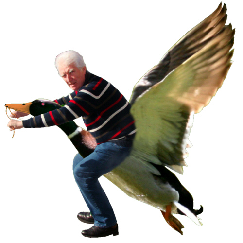 Herbert der Entenpfleger