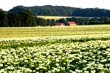 Aumhle Foto Herbert Winkler