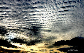 Dauerwellen Wolken Herbert Winkler