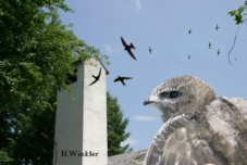 Altes Feuerwehrhaus, Fotografie Herbert Winkler