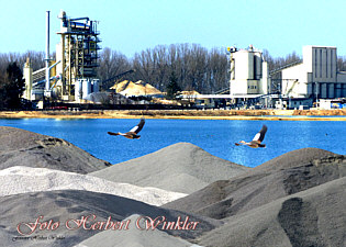 Mischwerk mit See und Wildgänsen