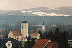 Scheuer Mintraching
