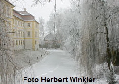 Zugefrorener Schloweiher Kfering
