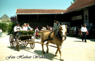 Eine Kutschenfahrt