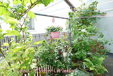 Herbert Winkler Hauseingang- Garten