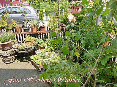 Garten Herbert und Sieglinde Winkler
