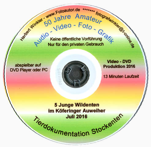 Wildenten Kfering