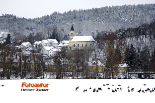 St. Salvator