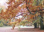 Drnberg Park Regensburg Winkler